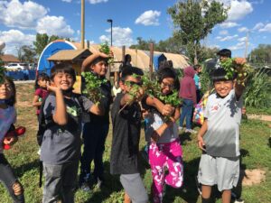 Food Sovereignty
